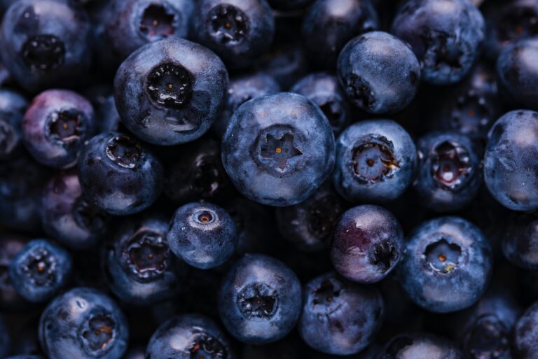 joanna kosinska evqbxxecre4 unsplash