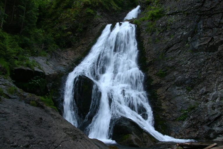 35511740395 fdcd03a484 o