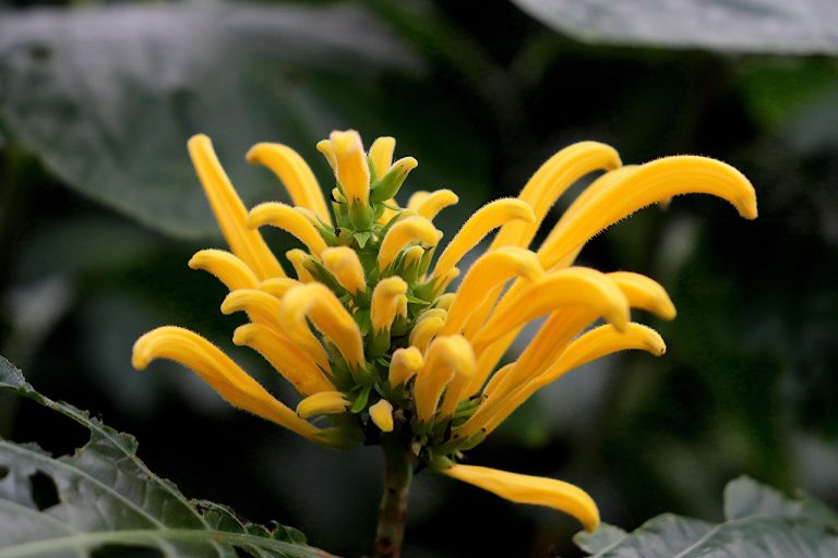 ce se intampla cu angajatii daca firma se inchide