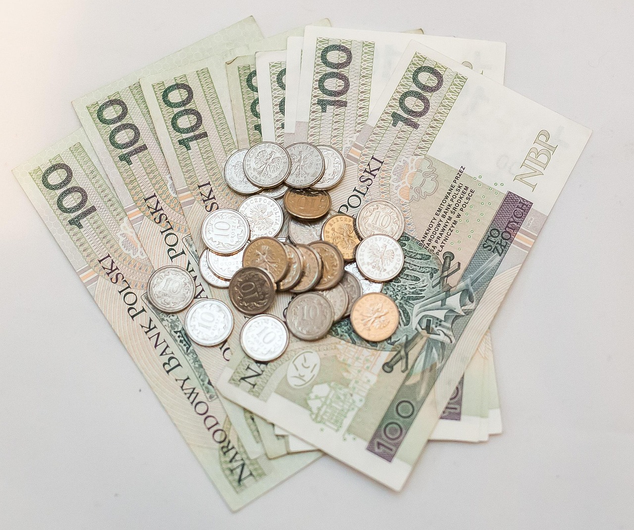 cat costa un euro in lei