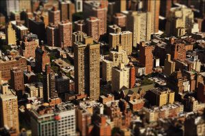 cat castiga un agent imobiliar